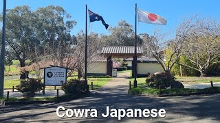 Cowra Japanese Garden [upl. by Aivatra]