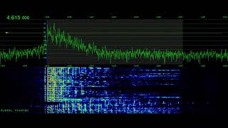 Russian Super Pirate Resumes Operations 4615 kHz  Signal Phantom [upl. by Valentijn30]