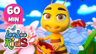 My Little Bee  S2EP17 Musical Adventure Collection  LooLoo Kids Songs for Kids [upl. by Aneeras]