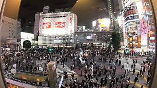 Tokyo Shibuya Crossing Worlds Busiest Intersection  Timelapse HD  ooAsia [upl. by Olette]