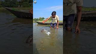 🐟How to Catch Fish Using Plastic BottlesPart08 shorts ikan bottlesfishing shortsfeed [upl. by Luttrell516]