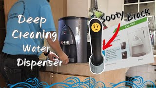 CW919 Water Dispenser Cleaning Guide [upl. by Halima]