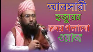 আনসারি হুজুরের অন্যতম সেরা ওয়াজ। আল্লামা জুবায়ের আহমেদ আনসারী। Maulana Zubair Ahmed Ansari [upl. by Yborian675]