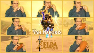 Attack on Vah Naboris Breath of the Wild  Ocarina Cover [upl. by Elocyn881]