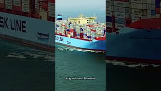 The largest container ships in the world [upl. by Ringe840]