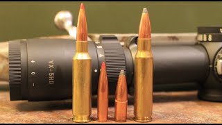 65 Creedmoor vs 308 Winchester Which One Should You Hunt With [upl. by Shute]