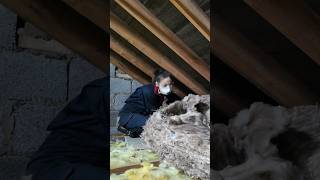 How to Insulate Your Loft in Under a Minute and hopefully save a fortune [upl. by Laira]