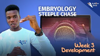 3RD WEEK OF DEVELOPMENT EMBRYOLOGY STEEPLECHASE QUESTIONS [upl. by Parthena]