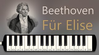 Bethoven  Für Elise  Melodica Academy [upl. by Ehc]