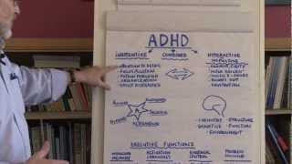 What Is ADHD [upl. by Montfort644]