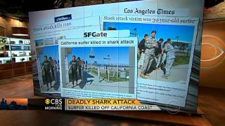 Shark attack near Santa Barbara Calif [upl. by Querida417]