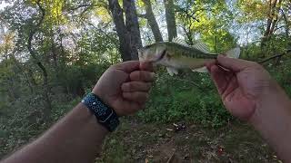 Backyard Bass Fishing After the Hurricane [upl. by Rehpinej]