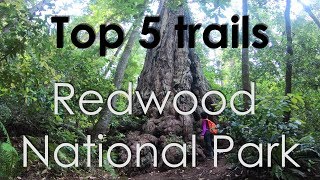 Top 5 Trails Redwood National Park California  GoPro HD [upl. by Drandell126]