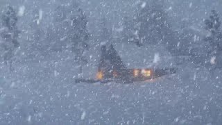 Stürmischer Wind Und Fallender Schnee Zum Entspannen  Winterstürmische Luft Für Tiefen Schlaf [upl. by Anail721]