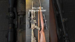 The Truth About AR15 vs Deer Hunting Rifle Damage hunting shorts deerhunting [upl. by Vilhelmina882]