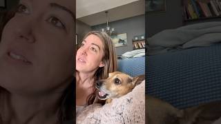 This Dog Loves Singing With His Owner [upl. by Halli]