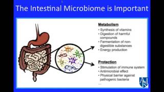 Serotonin as a Potential Brain Gut Link  Kara Gross Margolis MD [upl. by Becki971]