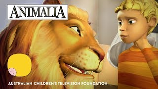 Animalia  Series Trailer [upl. by Wordoow]