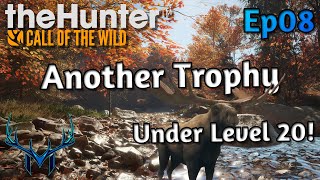 Fresh Start Ep8  theHunter Call of the Wild [upl. by Yeniar]