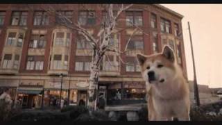 Hachiko  Eine wunderbare Freundschaftwmv [upl. by Ynnoj]