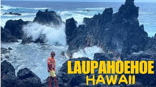 Laupahoehoe Point Beach Park  HAWAII [upl. by Aillicsirp]