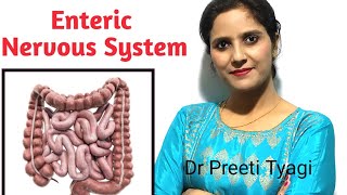 ENTERIC NERVOUS SYSTEM [upl. by Beedon]