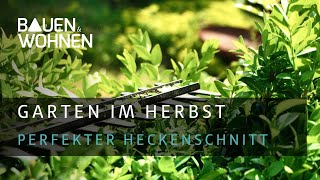 Garten im Herbst Profitipps zum Hecke schneiden  BAUEN amp WOHNEN [upl. by Enait]