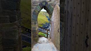 Tintagel Castle 🏰 The Legendary Birthplace of King Arthur 🤴🇬🇧 king uk castle cornwall [upl. by Aranaj348]