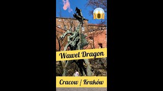 Wawel Dragon  Smok Wawelski  Fire Breathing Dragon in Cracow shorts [upl. by Fanchan]