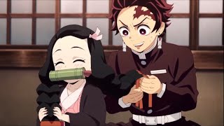 Free Twixtor Tanjiro Take Care of Nezuko  Demon Slayer Season 3 [upl. by Cassius]