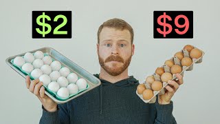 Are Expensive Eggs actually worth it [upl. by Yeung771]