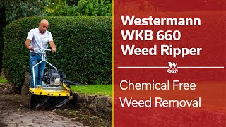 Chemicalfree weed removal with the Westermann Weed Ripper [upl. by Maltz]