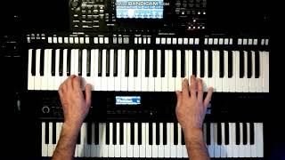 Fiordaliso  Non voglio mica la luna cover instrumental keyboard [upl. by Vorster]