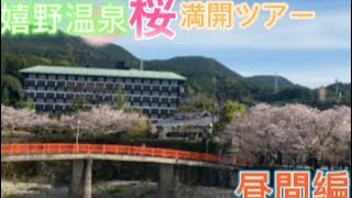 嬉野温泉 桜満開ツアー お昼編 [upl. by Aicilihp]