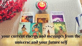 Timeless Tarot Reading Your Current Energy  Messages amp Guidance from Universe and Your Future Self [upl. by Aicnilav]