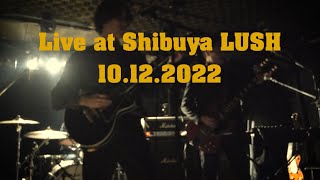 Antarctic Monkeys Live at SHIBUYA LUSH 10122022 [upl. by Evilc]