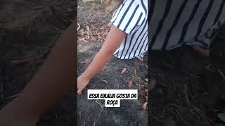 Essa Eulália gosta da roça plantas plantados plantado vidanaroça plantaçao feijao [upl. by Noell]