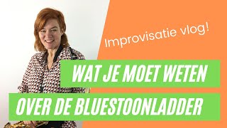 Wat je moet weten over de bluestoonladder [upl. by Honora548]