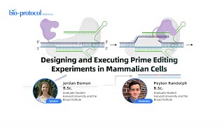 Designing and Executing Prime Editing Experiments in Mammalian Cells [upl. by Anotyad]