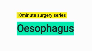 Oesophagus basic [upl. by Mae]