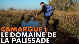 Randonnée Camargue  le Domaine de la Palissade Carnets de Rando 14 HD720p [upl. by Irtemed]