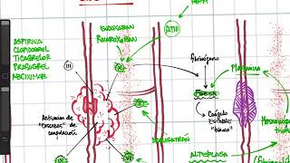 Ultrarresumen Antiagregantes anticoagulantes fibrinolisis [upl. by Annavoeg]