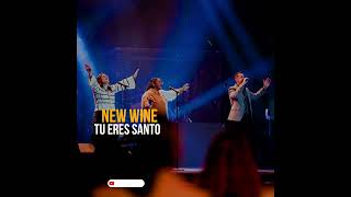 NEW WINE  Tu eres Santo 😭😭 COVER Ingrid Rosario [upl. by Chrissie]