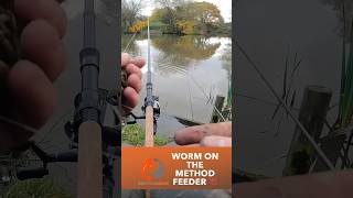 How to use worms 🪱 on the Method Feeder 🎣 Perfect winter bait ❄️ [upl. by Tanner]