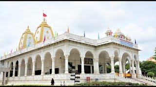 Srimad Bhagavatam 118  HG Padmapani Prabhu  16 Nov 2024 [upl. by Alegnad]