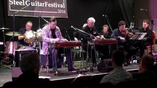 Irish Steel Guitar Festival 2016 Dag amp EgilA Fool Such as I [upl. by Nerret798]