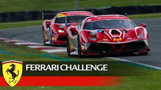 Ferrari Challenge UK Snetterton Race 2 Highlights [upl. by Rianna]