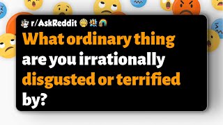 rAskReddit  What ordinary thing are you irrationally disgusted or terrified by [upl. by Nwhas]