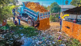 Starting a New Project Completed 100 Landfill on Flooded Area Using Mini Bulldozer amp Dump Truck [upl. by Akenehs]