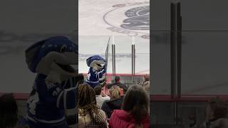 Brampton Steelheads mascots banging penalty box glass vs London Knights on Oct 5 2024 [upl. by Nreval]